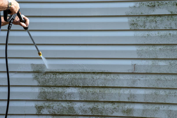 Brookmont, MD Siding Installation & Repair Company